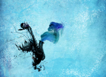 Festival musical du Brabant Wallon - du 16 septembre au 12 octobre Festival musical du Brabant Wallon - du 16 septembre au 12 octobre