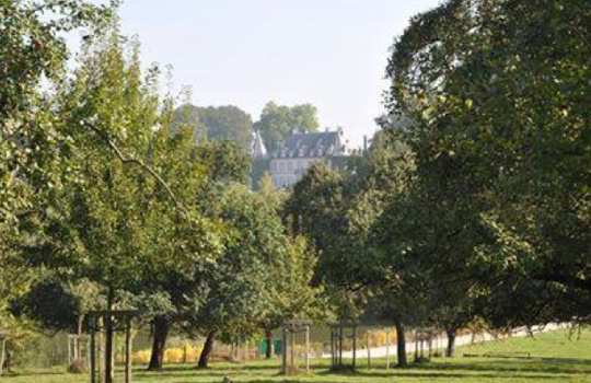 “LA FETE AU VERGER” verger conservatoire du Domaine régional Solvay “LA FETE AU VERGER” verger conservatoire du Domaine régional Solvay