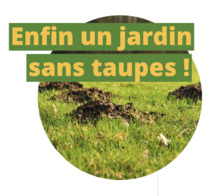 Taupier en Brabant wallon Taupier en Brabant wallon