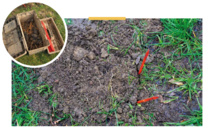 Taupier à Nivelles Taupier à Nivelles