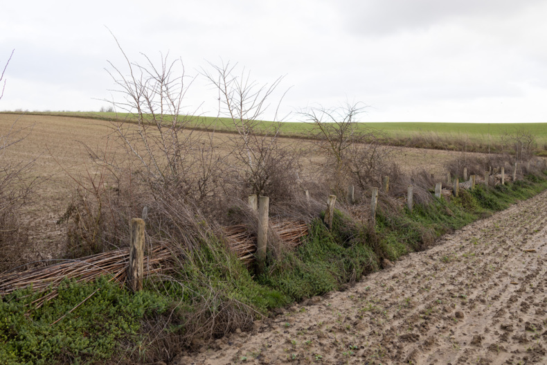 Le Brabant wallon soutient neuf projets pour lutter contre les coulées de boue. Voyez si votre commune en fait partie ? (Et pour quel montant?) Le Brabant wallon soutient neuf projets pour lutter contre les coulées de boue. Voyez si votre commune en fait partie ? (Et pour quel montant?)