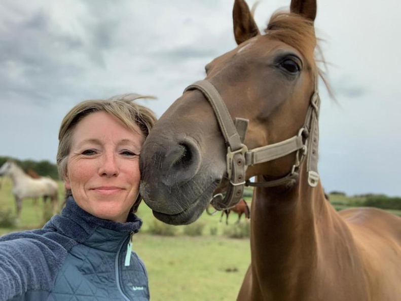 Brabant wallon : Coaching et développement personnel assisté par le cheval Brabant wallon : Coaching et développement personnel assisté par le cheval