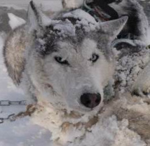 Ce vendredi ! La parade des "chasseurs d’étoiles" Ce vendredi ! La parade des "chasseurs d’étoiles"