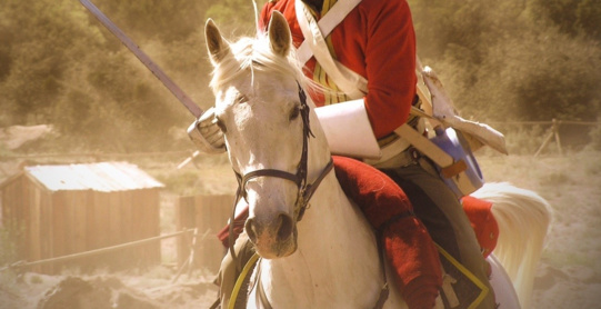 Les célèbres Royal Scots Greys participeront aux commémorations de la Bataille de Waterloo ! Les célèbres Royal Scots Greys participeront aux commémorations de la Bataille de Waterloo !