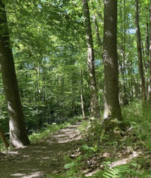 Yoga - relaxation Brabant wallon - Ittre - Nivelles Yoga - relaxation Brabant wallon - Ittre - Nivelles