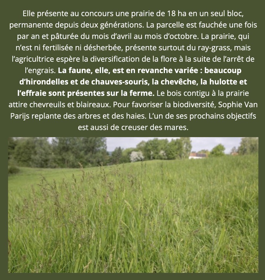 Une agricultrice brabançonne retenue pour la finale du concours de la plus belle prairie wallonne Une agricultrice brabançonne retenue pour la finale du concours de la plus belle prairie wallonne