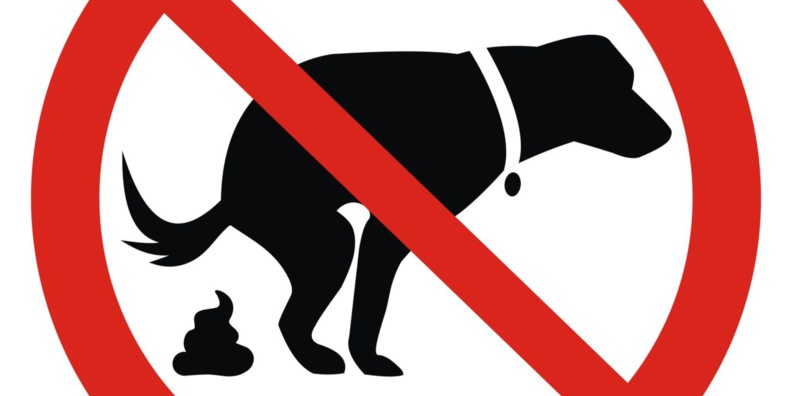 Une guerre contre les excréments canins : Instauration du fichage ADN des chiens. Une idée pour le BW ?