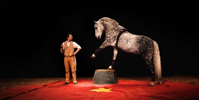 Tempo d'Eole une compagnie de cirque équestre Tempo d'Eole une compagnie de cirque équestre