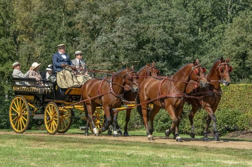 WEEK-END FESTIF WEEK-END FESTIF