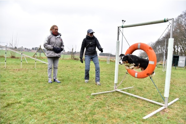 La Journée du Bien-être animal : un rendez-vous à ne pas manquer à Wavre La Journée du Bien-être animal : un rendez-vous à ne pas manquer à Wavre