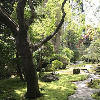 Gouttes de Réflexion 2 : Aṇu, l'essence du yoga et de la conscience Gouttes de Réflexion 2 : Aṇu, l'essence du yoga et de la conscience