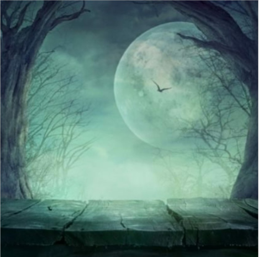 Hallow.een : Balades contées dans la forêt interdite – Une expérience à frissons pour petits et grands Hallow.een : Balades contées dans la forêt interdite – Une expérience à frissons pour petits et grands