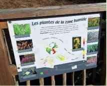 La réserve éducative réaménagée pour une biodiversité renforcée La réserve éducative réaménagée pour une biodiversité renforcée