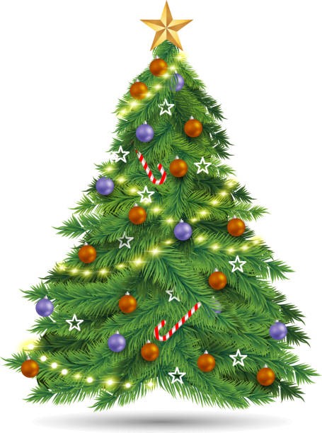 Cherche grands sapins pour égayer Waterloo en fin d'année Cherche grands sapins pour égayer Waterloo en fin d'année