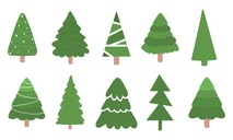 Cherche grands sapins pour égayer Waterloo en fin d'année Cherche grands sapins pour égayer Waterloo en fin d'année