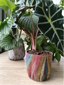 Un marché artisanal à Wavre : découvrez Natural Line ce week-end Un marché artisanal à Wavre : découvrez Natural Line ce week-end