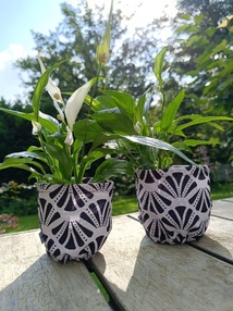 Un marché artisanal à Wavre : découvrez Natural Line ce week-end Un marché artisanal à Wavre : découvrez Natural Line ce week-end