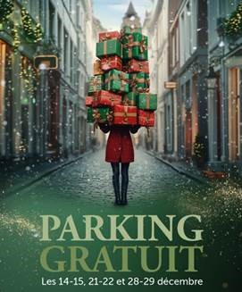 Wavre sans Glace 2024 : La féerie des fêtes sans le froid Wavre sans Glace 2024 : La féerie des fêtes sans le froid