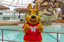 Walibi Belgium recrute pour ses 50 ans : une campagne décoiffante ! Walibi Belgium recrute pour ses 50 ans : une campagne décoiffante !