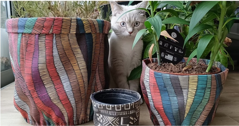 Natural Line : Quand l'esthétique s'allie à la praticité dans votre jardin Natural Line : Quand l'esthétique s'allie à la praticité dans votre jardin