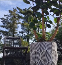 Natural Line : Quand l'esthétique s'allie à la praticité dans votre jardin Natural Line : Quand l'esthétique s'allie à la praticité dans votre jardin