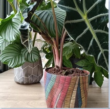 Natural Line : Quand l'esthétique s'allie à la praticité dans votre jardin Natural Line : Quand l'esthétique s'allie à la praticité dans votre jardin