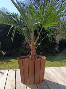 Natural Line : Quand l'esthétique s'allie à la praticité dans votre jardin Natural Line : Quand l'esthétique s'allie à la praticité dans votre jardin