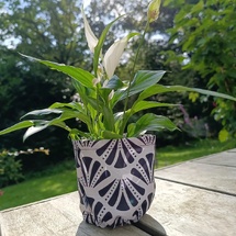 Natural Line : Quand l'esthétique s'allie à la praticité dans votre jardin Natural Line : Quand l'esthétique s'allie à la praticité dans votre jardin