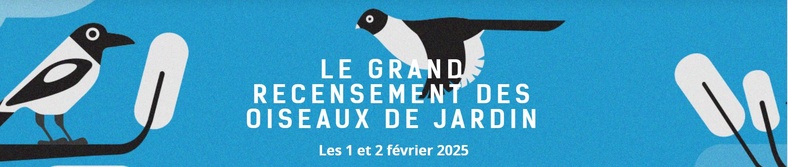 Le grand recensement des oiseaux de jardin : Une invitation à observer la nature Le grand recensement des oiseaux de jardin : Une invitation à observer la nature