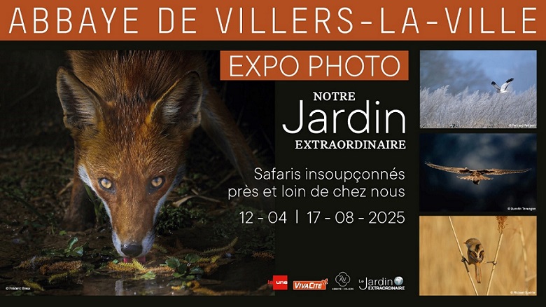 Expo photo "Notre Jardin Extraordinaire" : un voyage fascinant au cœur de la faune sauvage Expo photo "Notre Jardin Extraordinaire" : un voyage fascinant au cœur de la faune sauvage