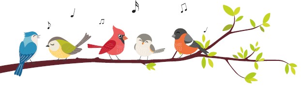 Ensemble, protégeons la faune locale : 3 gestes simples à adopter Ensemble, protégeons la faune locale : 3 gestes simples à adopter