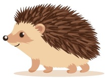 Ensemble, protégeons la faune locale : 3 gestes simples à adopter Ensemble, protégeons la faune locale : 3 gestes simples à adopter