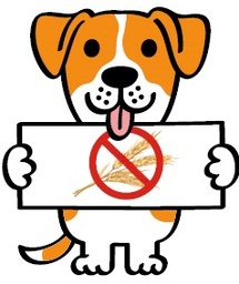 Ensemble, protégeons la faune locale : 3 gestes simples à adopter Ensemble, protégeons la faune locale : 3 gestes simples à adopter