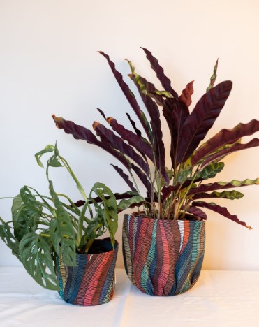 Aline Vander Sande au Festival en Vrac : quand le design sublime la nature Aline Vander Sande au Festival en Vrac : quand le design sublime la nature