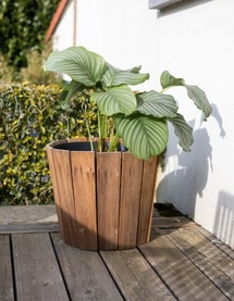 Aline Vander Sande au Festival en Vrac : quand le design sublime la nature Aline Vander Sande au Festival en Vrac : quand le design sublime la nature