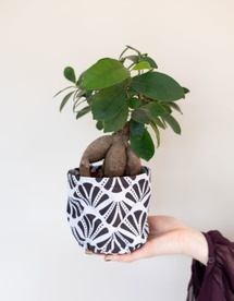 Aline Vander Sande au Festival en Vrac : quand le design sublime la nature Aline Vander Sande au Festival en Vrac : quand le design sublime la nature