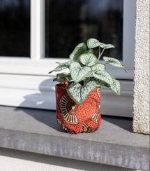 Aline Vander Sande au Festival en Vrac : quand le design sublime la nature Aline Vander Sande au Festival en Vrac : quand le design sublime la nature