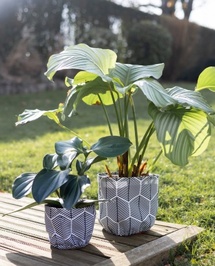 Aline Vander Sande au Festival en Vrac : quand le design sublime la nature Aline Vander Sande au Festival en Vrac : quand le design sublime la nature