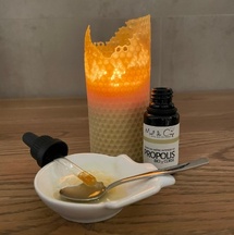 Gelbopharma : une expertise en produits naturels au service du bien-être Gelbopharma : une expertise en produits naturels au service du bien-être