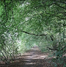 Les balades de VisitWavre : partez à la (re)découverte de votre ville Les balades de VisitWavre : partez à la (re)découverte de votre ville