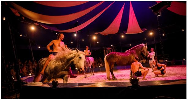 Cirque équestre, Déconstruction, Révolte Cirque équestre, Déconstruction, Révolte