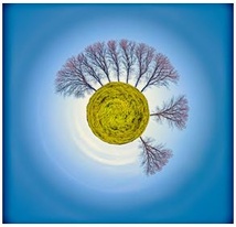 Onirisme, Engagement , Photomontage Onirisme, Engagement , Photomontage