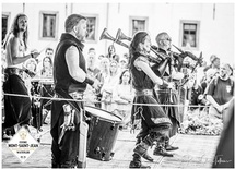 Vikings, Reconstitution historique, Spectacles familiaux Vikings, Reconstitution historique, Spectacles familiaux