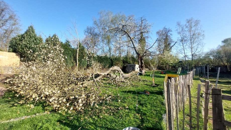 Élagage Brabant wallon, Abattage arbre sécurisé, Entretien arbres et débroussaillage Élagage Brabant wallon, Abattage arbre sécurisé, Entretien arbres et débroussaillage