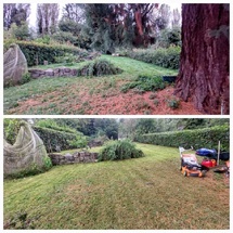 Élagage Brabant wallon, Abattage arbre sécurisé, Entretien arbres et débroussaillage Élagage Brabant wallon, Abattage arbre sécurisé, Entretien arbres et débroussaillage