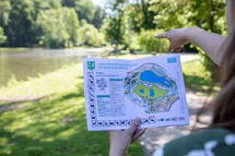 Bois des Rêves, Activités familiales été, Sorties Brabant wallon Bois des Rêves, Activités familiales été, Sorties Brabant wallon