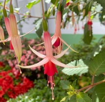 Créativité, Intergénérationnel, Nature Créativité, Intergénérationnel, Nature