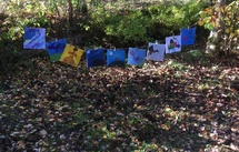 Créativité, Intergénérationnel, Nature Créativité, Intergénérationnel, Nature