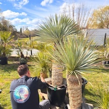 Exotisme, Pépinière, Conseil personnalisé Exotisme, Pépinière, Conseil personnalisé