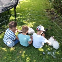 Médiation animale, Bien-être émotionnel, Ressourcement Médiation animale, Bien-être émotionnel, Ressourcement